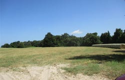 RS COUNTY ROAD 4020, Emory, TX 75440
