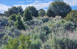 369 Woodruff Road, Glenwood Springs, CO 81601