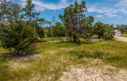 2 SE Seventh St, Steinhatchee, FL 32359