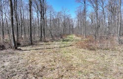 Konsella Road, Gilman, WI 54433
