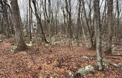 Lipo Way, Albrightsville, PA 18210