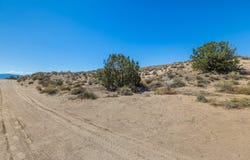 803 Acebo Road NE, Rio Rancho, NM 87124
