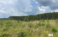 Bradley Road, Brewton, AL 36426