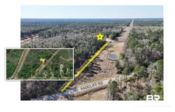 Radcliff Road, Saraland, AL 36571