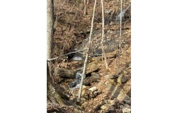 99999 Chesterfield Drive, Mill Spring, NC 28756