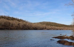 Stone Creek Way lot: 15, Norfork, AR 72658