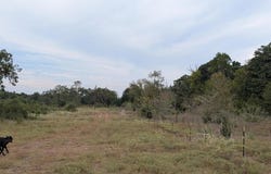 FCR 290, OAKWOOD, TX 75855
