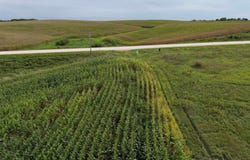 Kornhill Road, Wadena, IA 52142