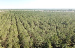 Corrigan Road, Vidor, TX 77662
