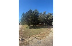 Big Bend, Whitney, TX 76692