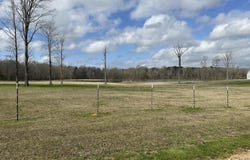 10.2 Acres Barnes Road, Florence, MS 39073