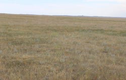 Spring Creek Cutoff, Hermosa, SD 57744-0000