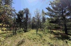 US-10, CHERRY VALLEY TWP, MI 49642