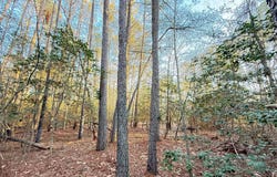 46080 USHER Lane, VALLEY LEE, MD 20692