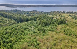 1202 Brighton Ave, RockawayBeach, OR 97136