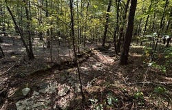 Old Stagecoach Road, Eldridge, AL 35554