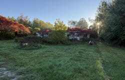 12334 20th Avenue, Remus, MI 49340