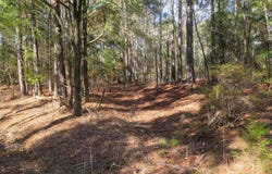Burrage Rd, Enterprise, MS 39330
