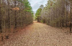 Highway 79 S lot: 48, Pine Bluff, AR 71603