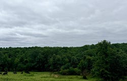 County Road 585, Winona, MO 65588