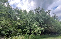4.18 AC Salishan Drive, Halifax, VA 24558