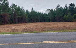Harper Rd. lot: 7&8, Marion, SC 29571