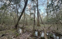 Co Hwy 20, Evergreen, AL 36401