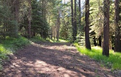 Chief Joseph Loop Rd, Joseph, OR 97846
