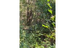 County Rd 28 lot: 10, Georgetown, GA 39854