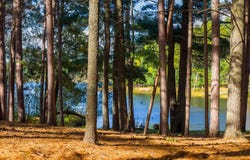 8573 HOWER RD, Minocqua, WI 54548