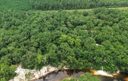 Shep Batson Road, Wiggins, MS 39577