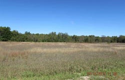 291 KLEEHAMMER CLUB DRIVE, KALKASKA, MI 49646