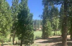 2104 Grizzly Ranch Road lot: 228, Portola, CA 96122