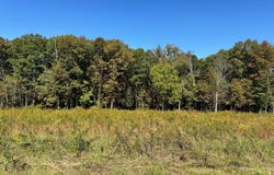 Golliher Rd, Rockwood, TN 37854