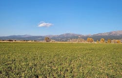 1753 Foxtail Drive, Driggs, ID 83422
