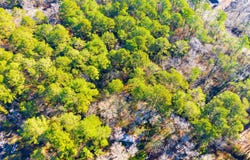 Cedar Court lot: 30, Trinity, TX 75862