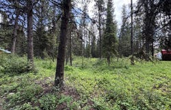 768 Deep Woods Trail, Polebridge, MT 59928