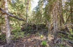 1365 W Twisted Trail, Duck Creek Village, UT 84762