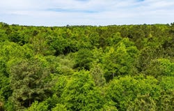 White Oak Rd, Gladewater, TX 75647