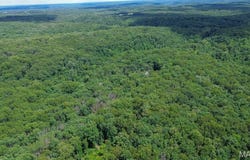 Oak Hill Lane, Cuba, MO 65453