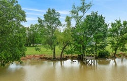 CR 2110, Bagwell, TX 75412