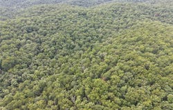 Section 32 Township 29 Range 3, Piedmont, MO 63957