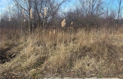 Charles Drive, Lorain, OH 44053