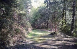 100 Moore Ranch Road, Weitchpec, CA 95546