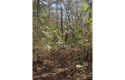 CR 2151 (Tract 7A), Troup, TX 75789