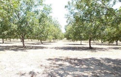 County Road 216, San Saba, TX 76877