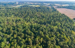 0 Irma White Rd, Marion, KY 42064