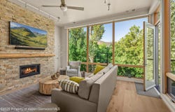 101 Willits Way, Basalt, CO 81621