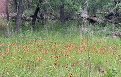 153 Post Oak Cove, Sunset, TX 76270