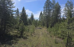 W OREGON Rd, DEER PARK, WA 99006